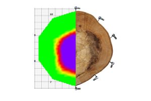arborsonic-0-300x200 arborsonic 0 300x200 1